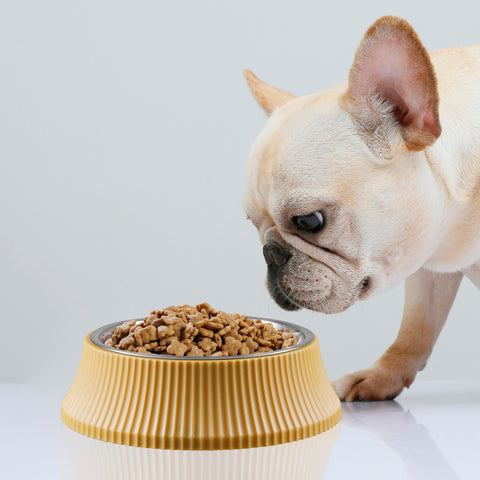 Pet Bowl