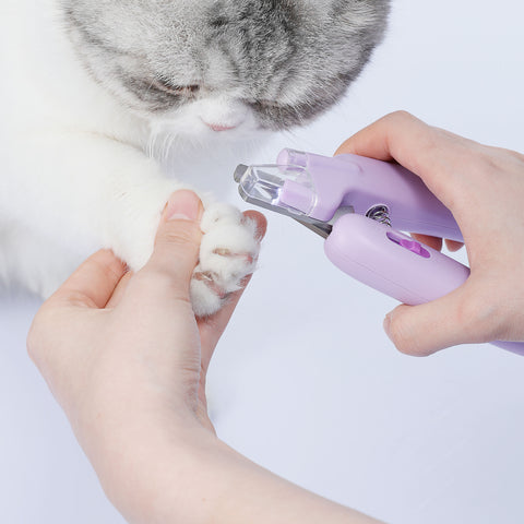 "Fruity Vibes" Nail Clipper