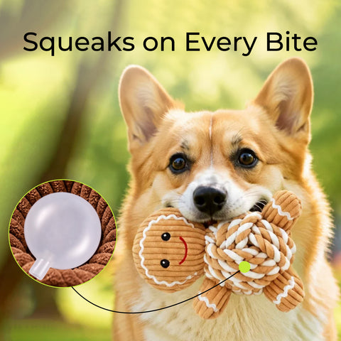 Merry Chew & Squeak Plush Toy