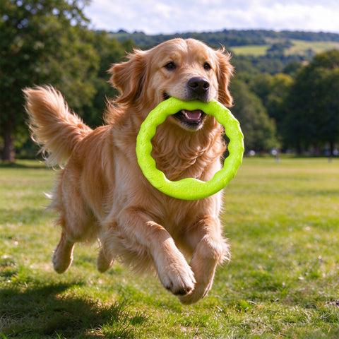 HydroRing Flying Fetch Toy