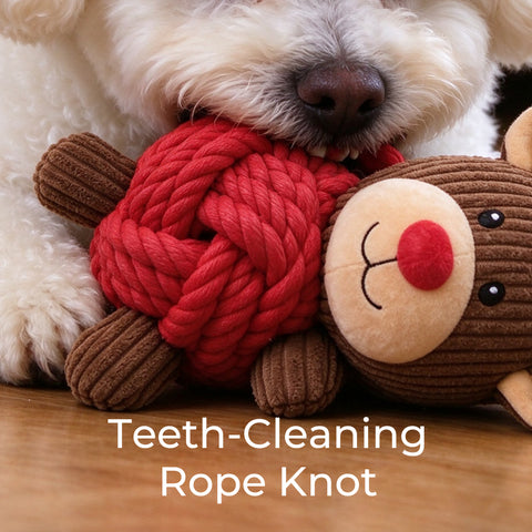 Merry Chew & Squeak Plush Toy