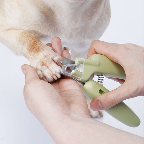 "Fruity Vibes" Nail Clipper