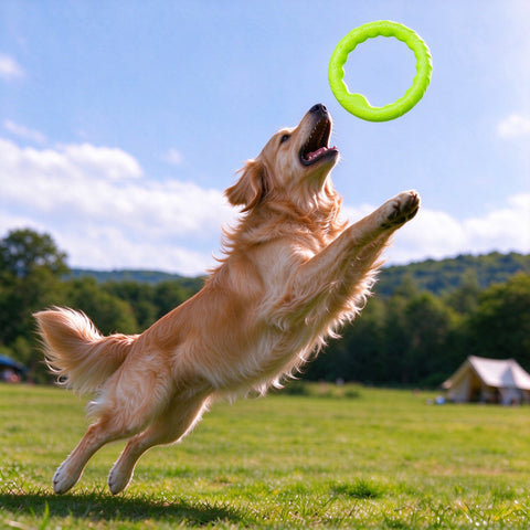 HydroRing Flying Fetch Toy
