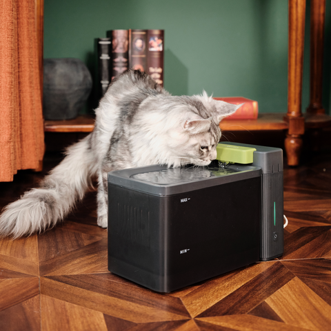 Furbulous Cube