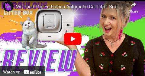 Review: Cat Crazy
