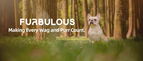 Furbulous wants to build a smart tech lifestyle for pets their caregivers.