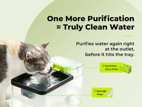 Cube EZ Water Fountain