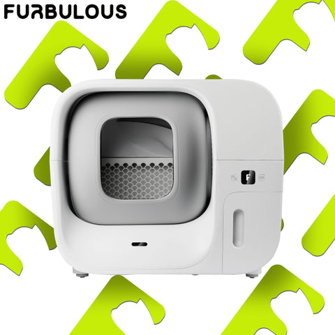 Furbulous Box
