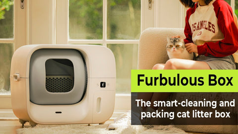 Furbulous