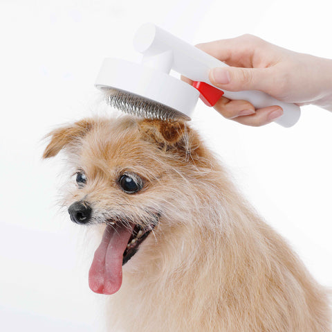 Pet Brush