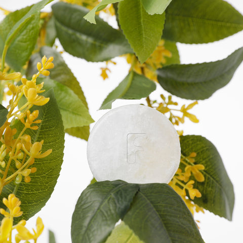 Deodorant Bar